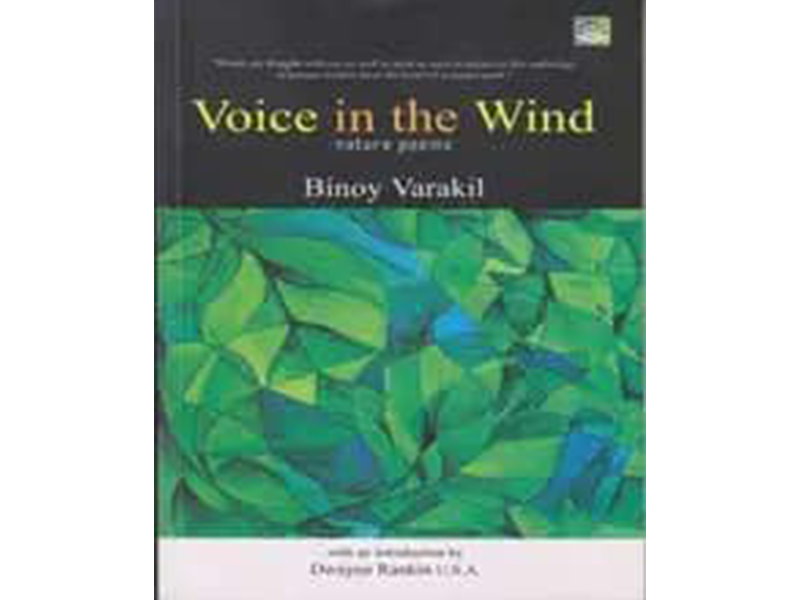 Voice in the wind